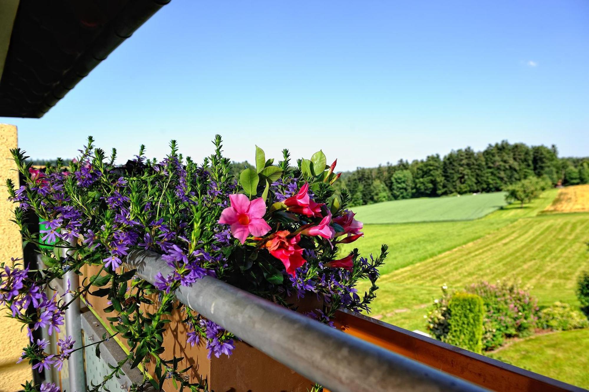 Landhotel Talblick Neuweiler エクステリア 写真